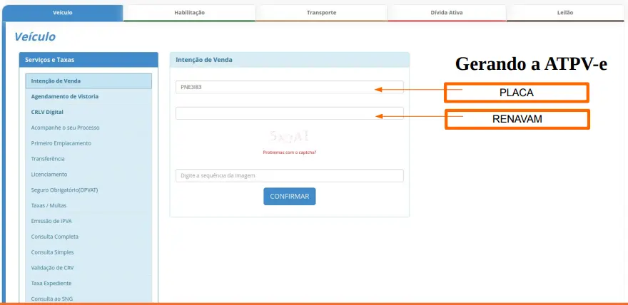 Print da tela do Detran