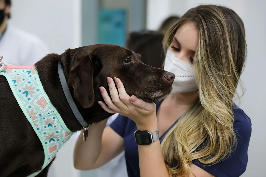O novo campus favorece a aprendizagem aliada à prática, o que possibilita a integração e a vivência entre diversas áreas do conhecimento veterinário