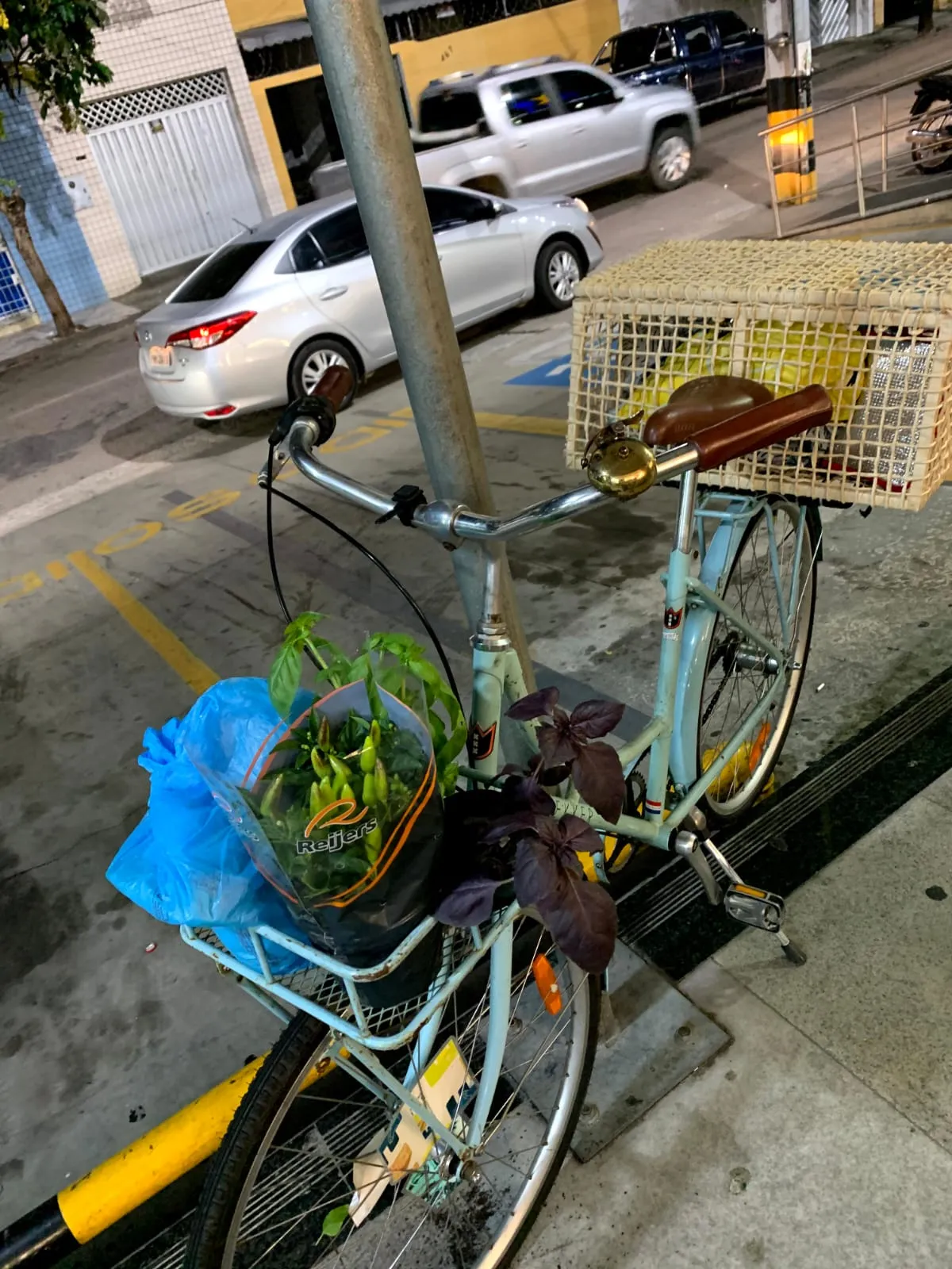 Companhia cotidiana pelas ruas de Fortaleza, a bicicleta recebeu o nome de Shirley.