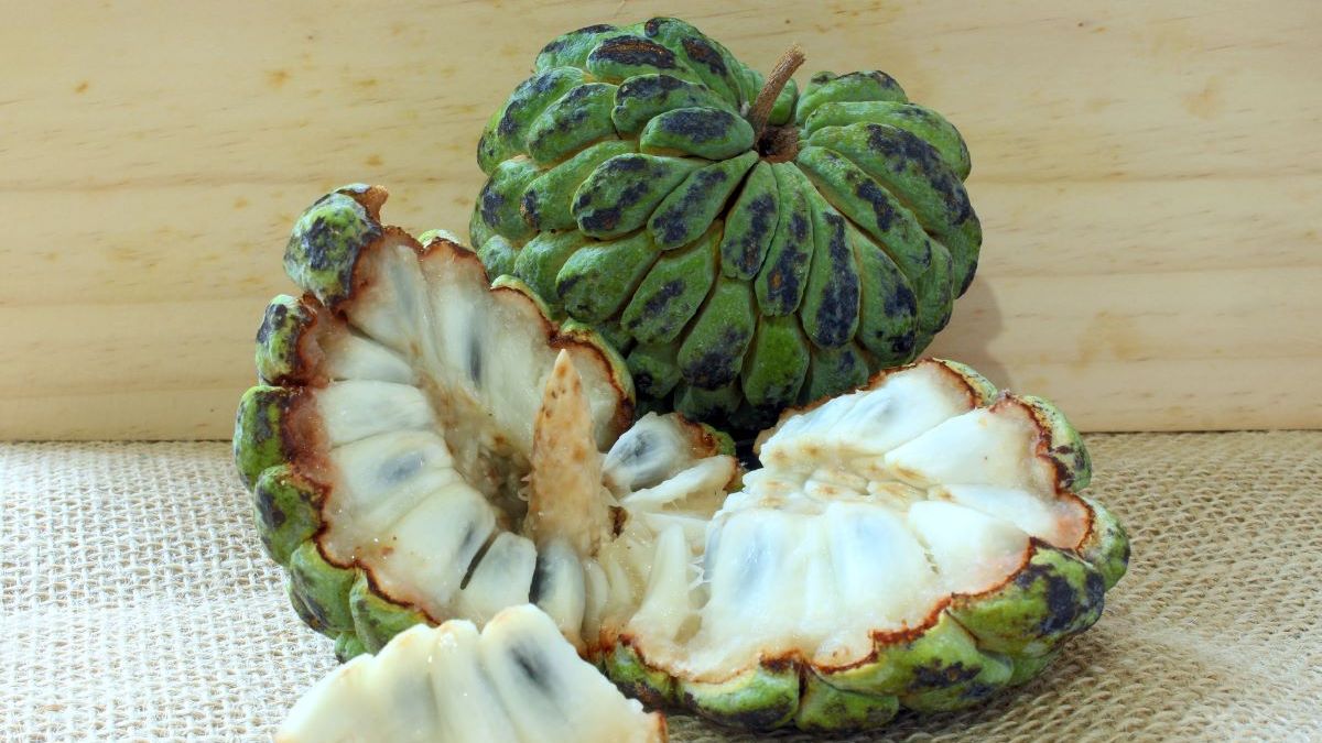 Fruta-do-conde, ata ou pinha: o que é, origem e benefícios para a saúde ...