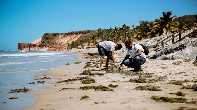 Obras para conter avanço do mar demandam atenção a possíveis impactos  ambientais, em Caucaia, no litoral cearense, Ceará