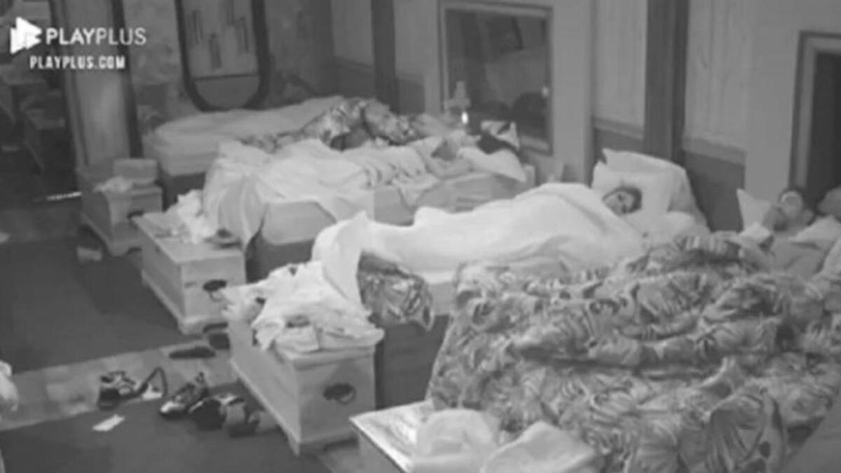 Dayane Mello e Nego do Borel debaixo do edredom em A Fazenda 2021