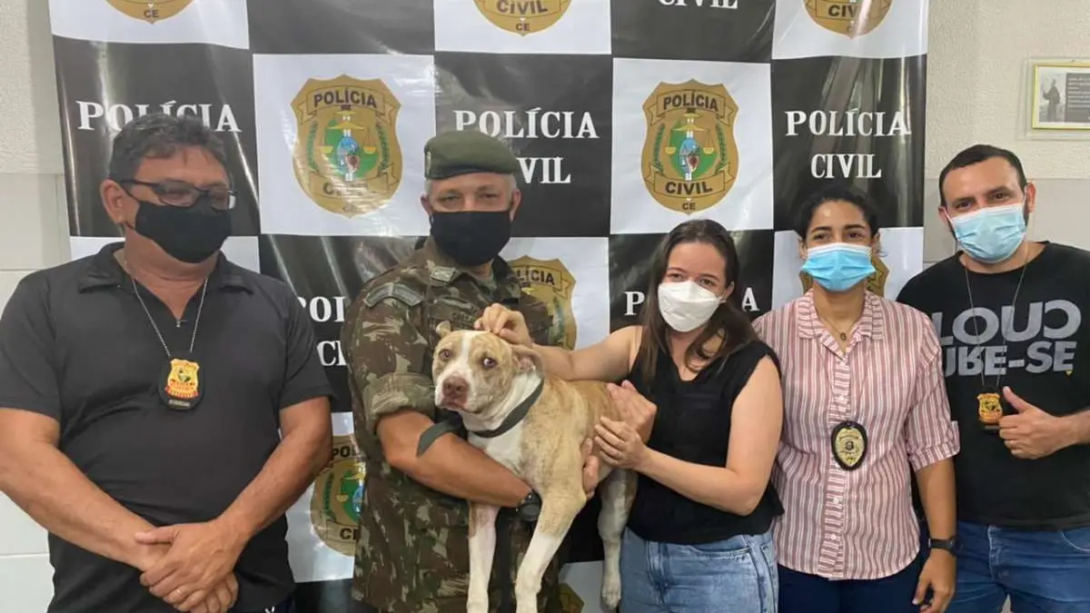 capa da noticia
