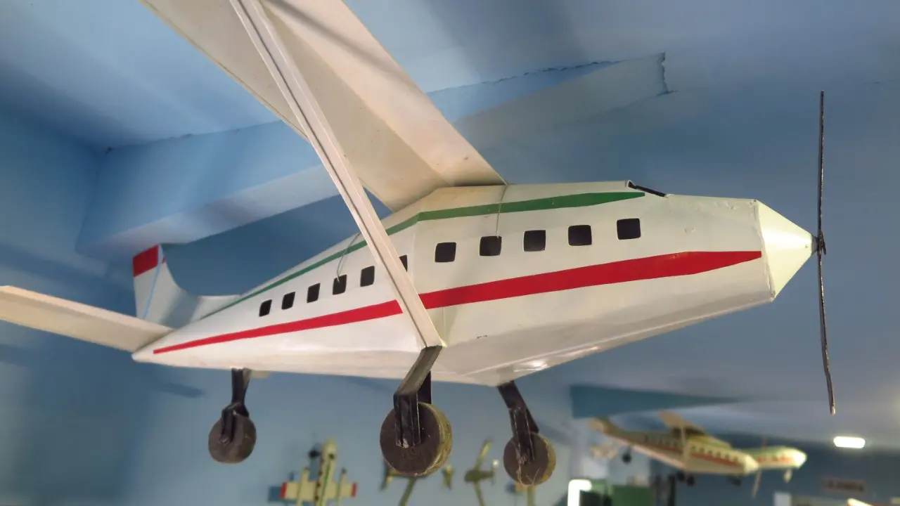 Museu Orgânico do Mestre Françuli - Potengi