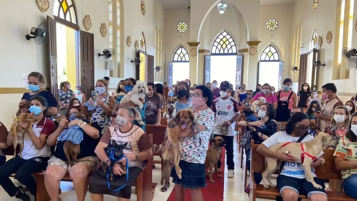 Benção dos animais no Dia de São Francisco de Assis