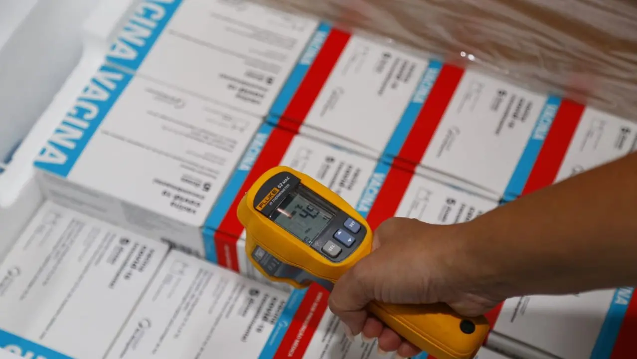 Vacinas sendo conferidas pelos profissionais