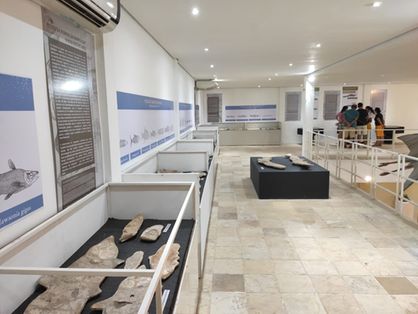 Museu de Paleontologia de Santana do Cariri