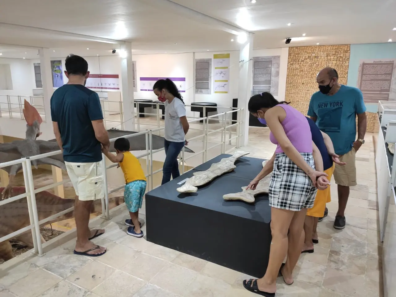 Museu de Paleontologia de Santana do Cariri