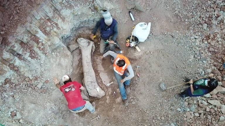 Imagem de drone mostra homens retirando da área de obra ossos largos do dino