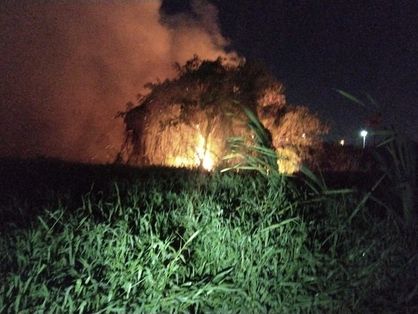 Incêndio atinge área de vegetação no bairro Boa Vista, em Fortaleza