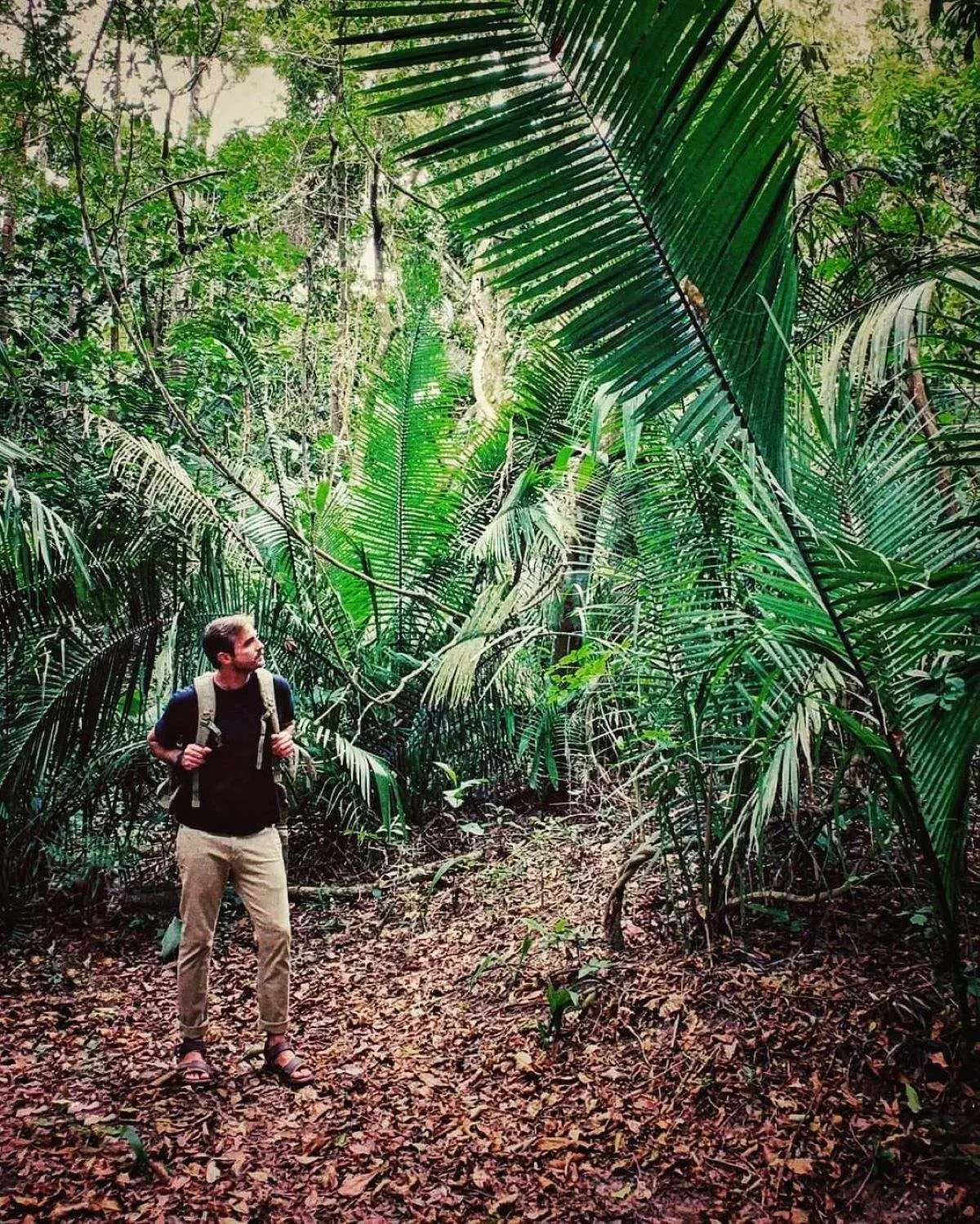 Ator Max Fercondini em floresta em Ubajara, interior do Ceara