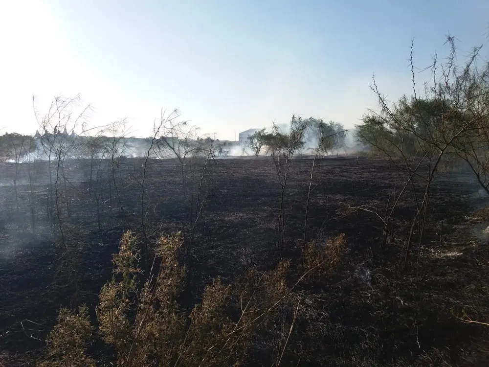 As consequências da inalação de fumaça provenientes de queimadas são dor e ardência na garganta, tosse seca, cansaço, dificuldade para respirar, dor de cabeça, rouquidão e lacrimejamento e vermelhidão nos olhos