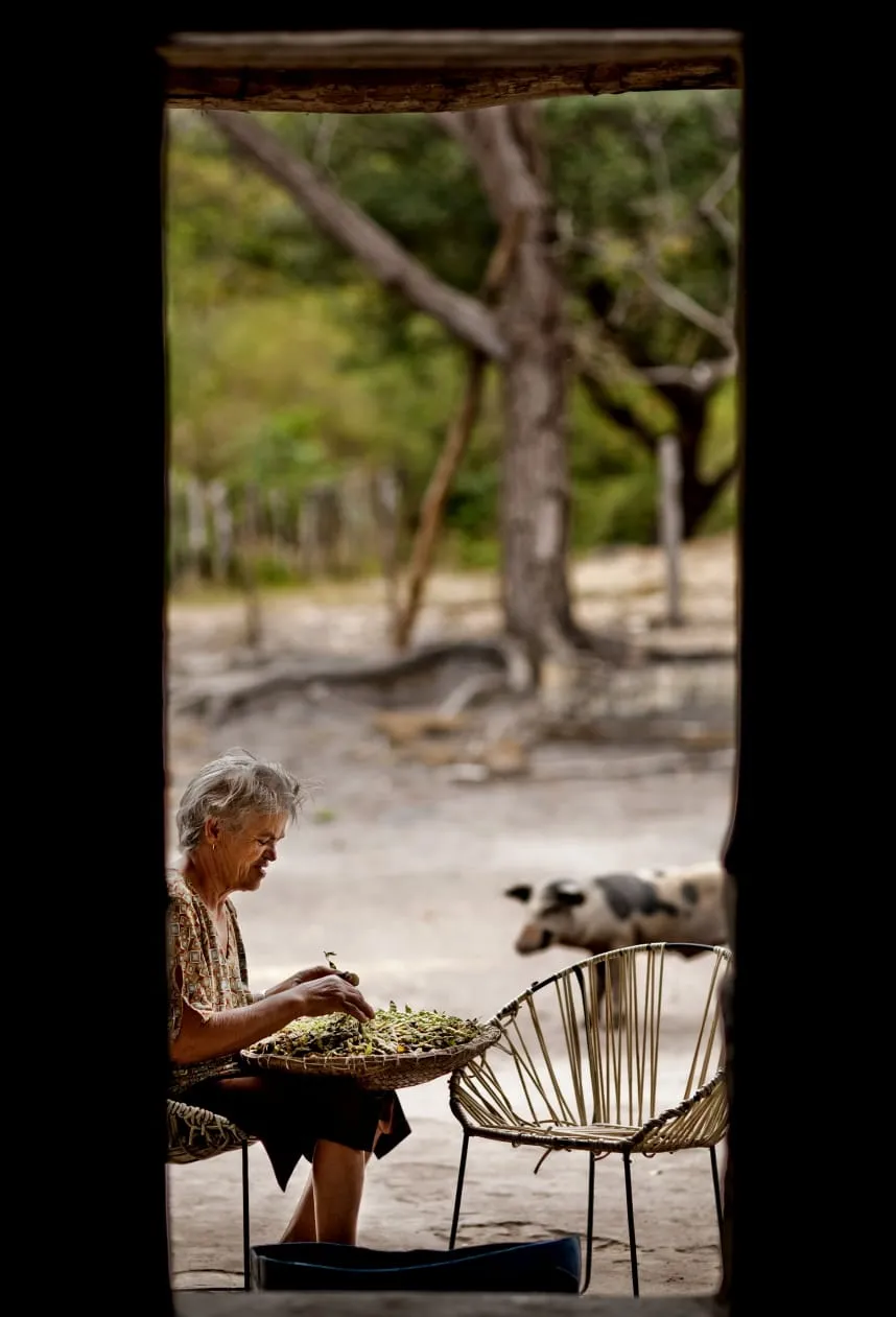 A Agência de Turismo Comunitária surgiu a partir de um olhar não só para as riquezas naturais da região do Cariri, sobretudo da Chapada do Araripe, mas também sua riqueza cultural