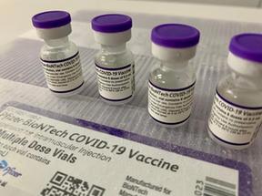 Doses da vacina contra a Covid da Pfizer