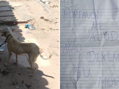 Cadela com bilhete de socorro é resgatada em Aquiraz: 'me ajude, não deixem eu morrer'