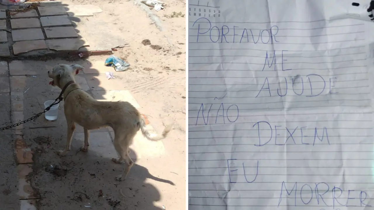 capa da noticia