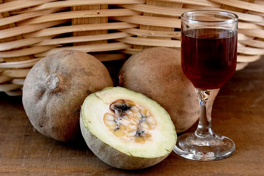 O consumo do Jenipapo como suco e licor está entre as formas de uso mais comum