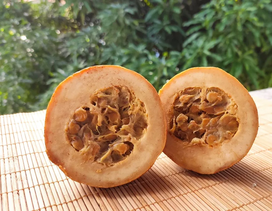 O Jenipapo é um fruto de casca fina, mole e enrugada. Sua polpa possui cor parda, de sabor um pouco adocicado, com sementes pequenas e achatadas