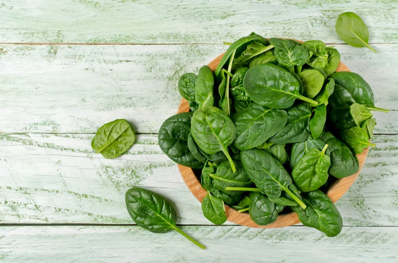 Vegetais verde escuro, como o espinafre, são ricos em ferro