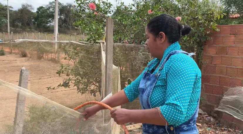 Na Vila Bom Tempo, Alaída Silva conta que agora aproveita a água na torneira para aguar um canteiro de hortaliças