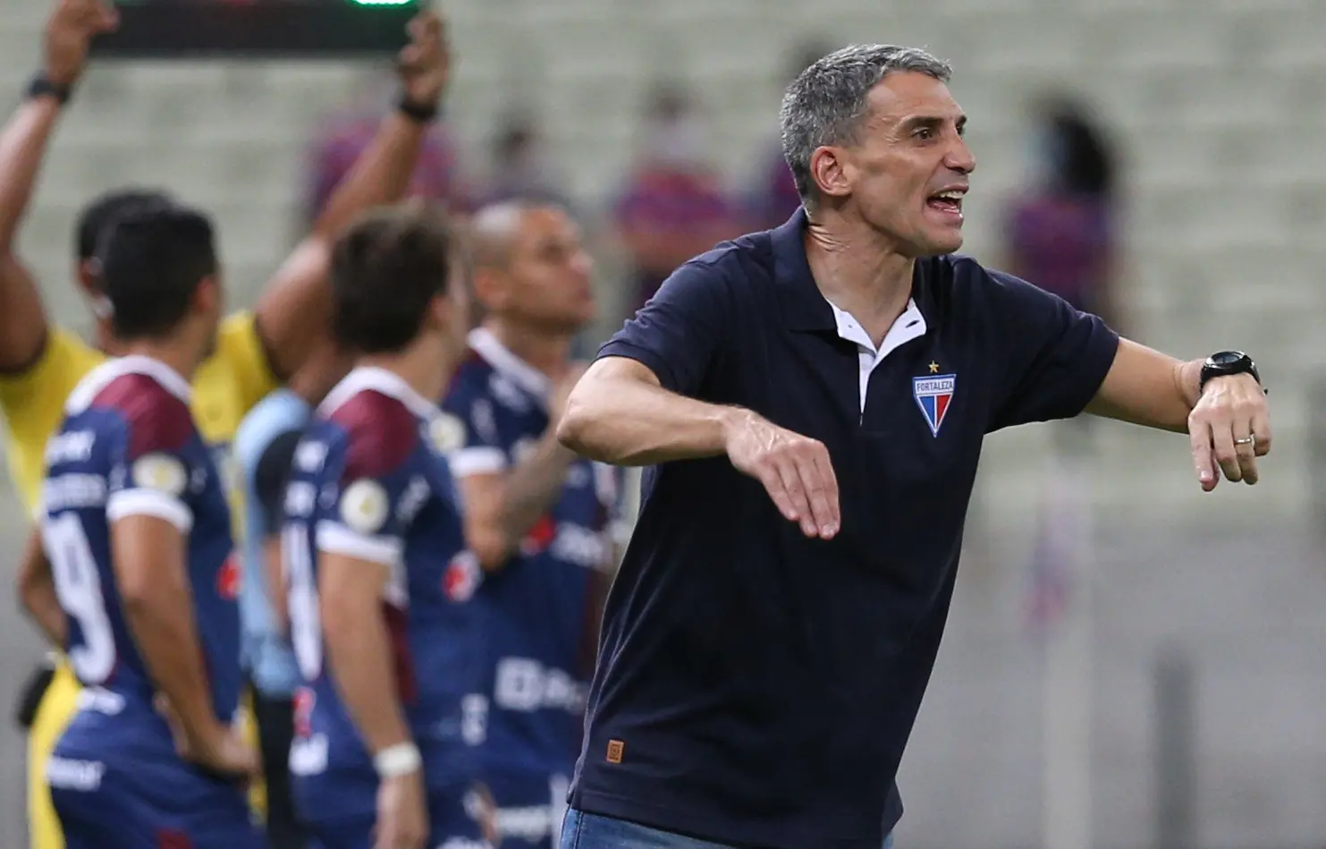 Vojvoda na beira do gramado