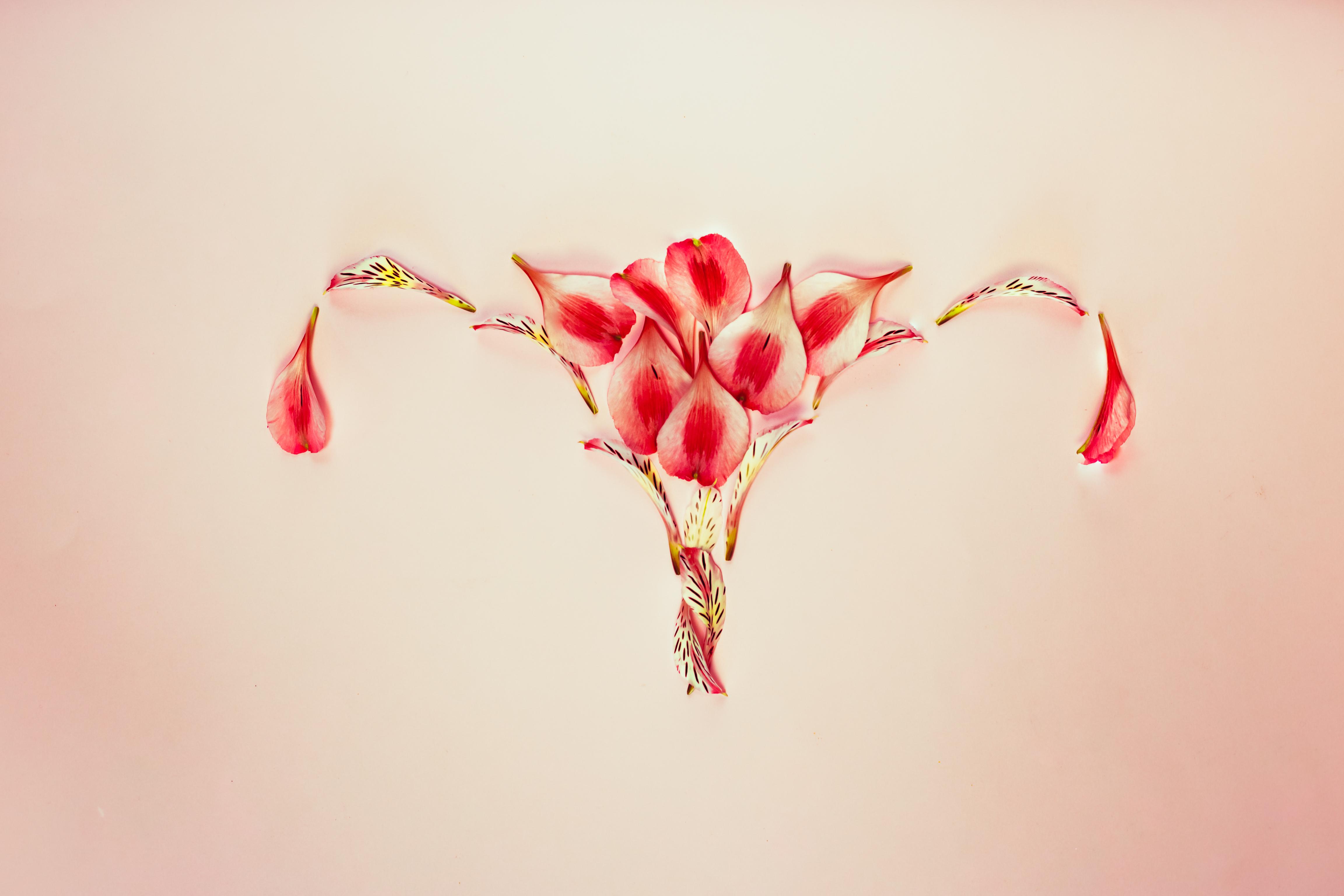 Conceito de útero de mulher com pétalas de flores
