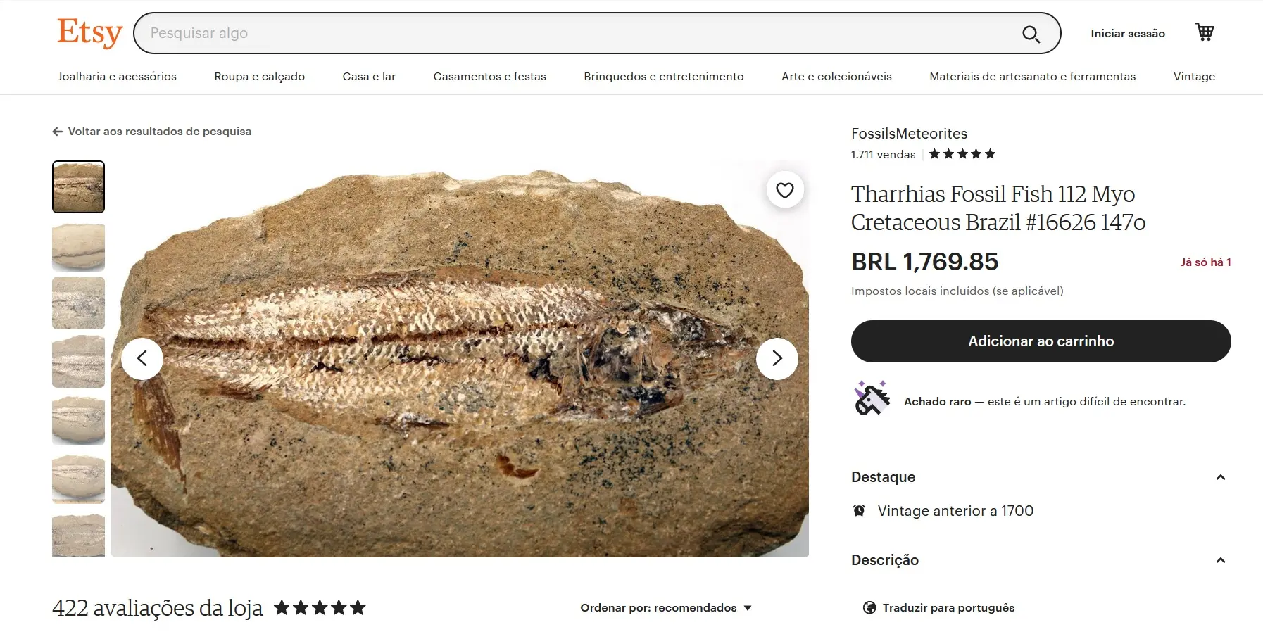 O perfil chamado FossilsMeteorites também oferece outros 544 artigos, incluindo outros fósseis de várias partes do mundo