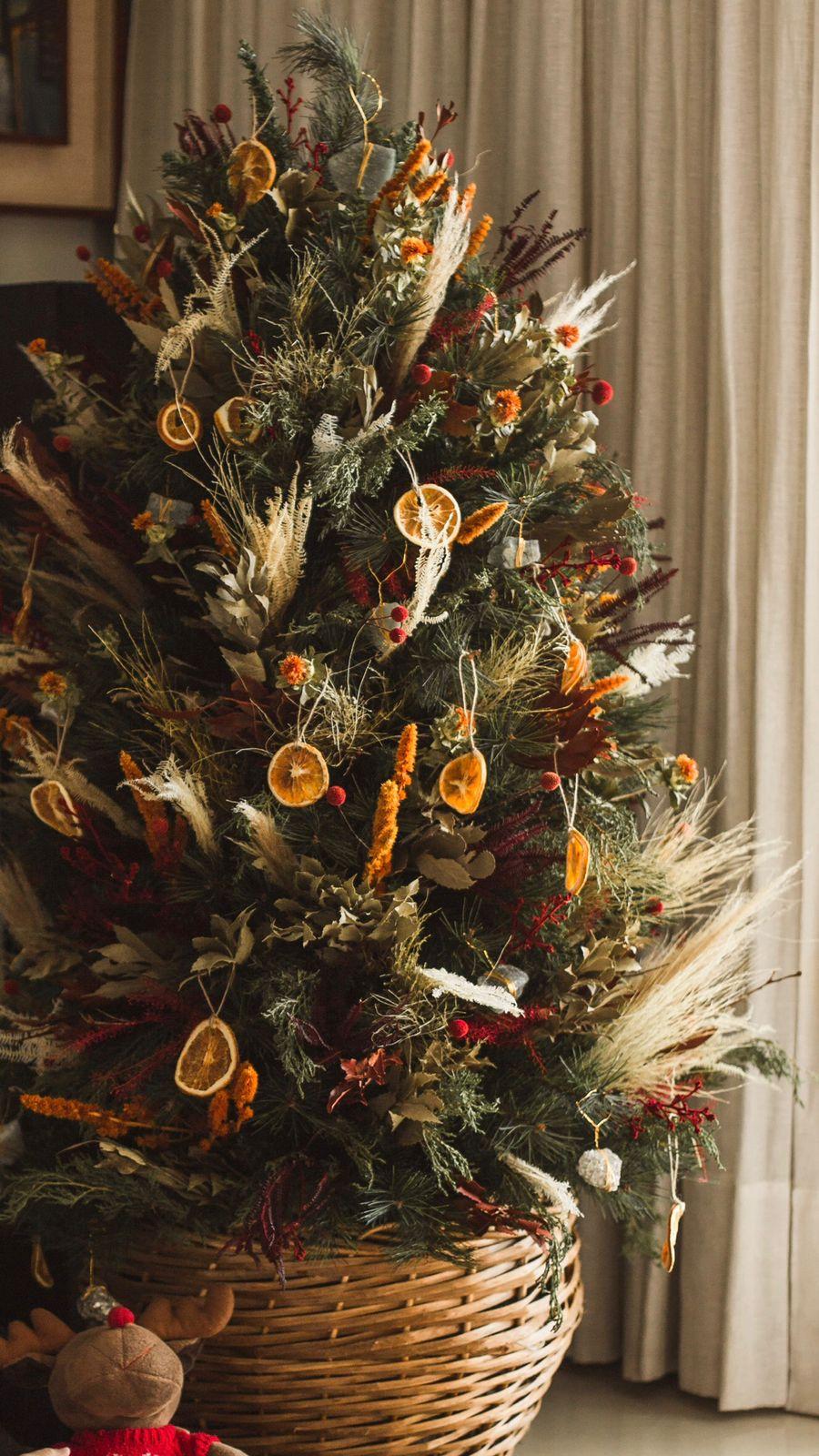 Então é Natal: confira dicas para montar uma árvore artesanal em família -  Verso - Diário do Nordeste