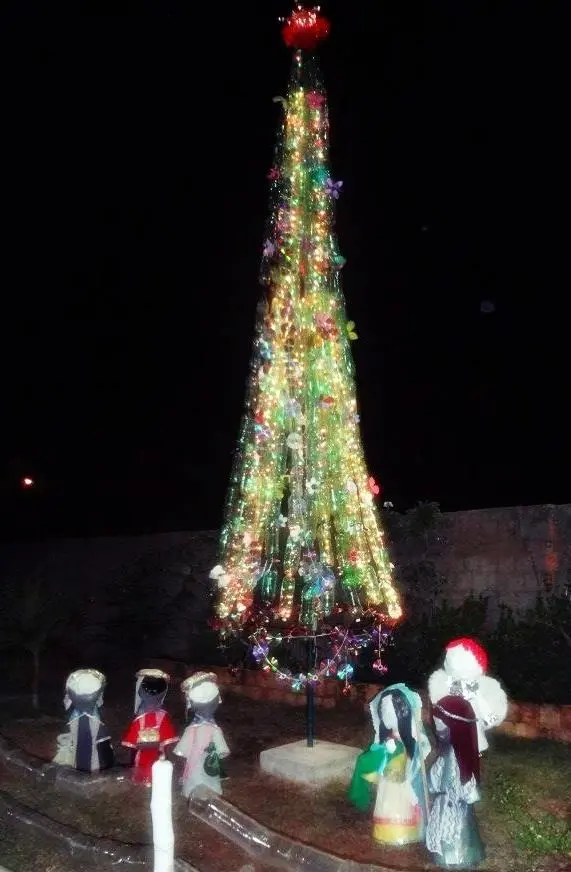 árvore de garrafa pet