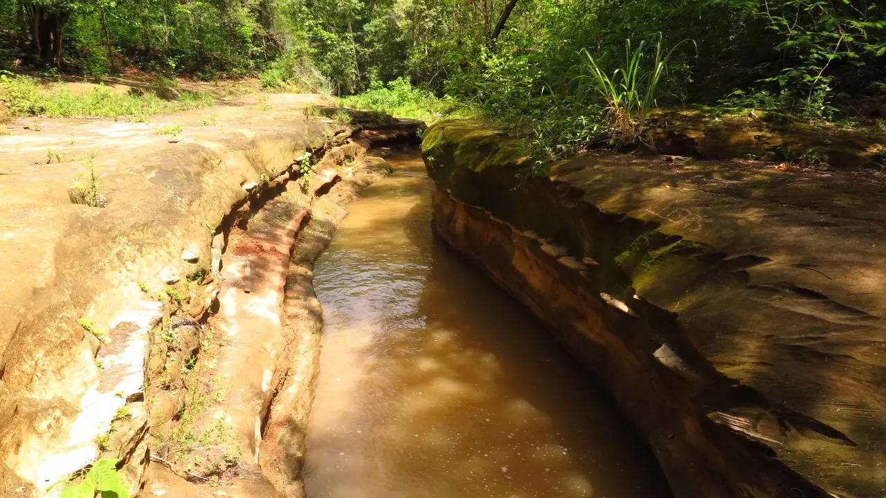 Parque Estadual Sítio Fundão