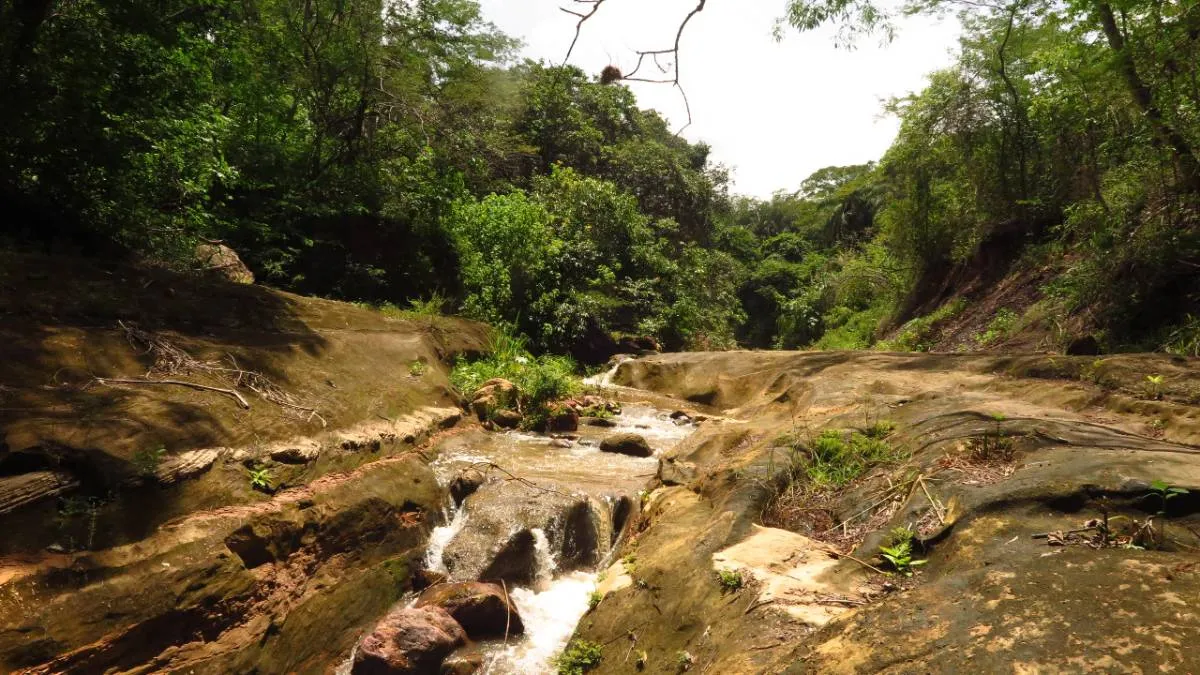 Parque Estadual Sítio Fundão