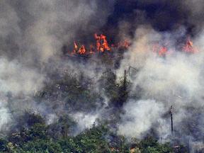 Amazônia queimando