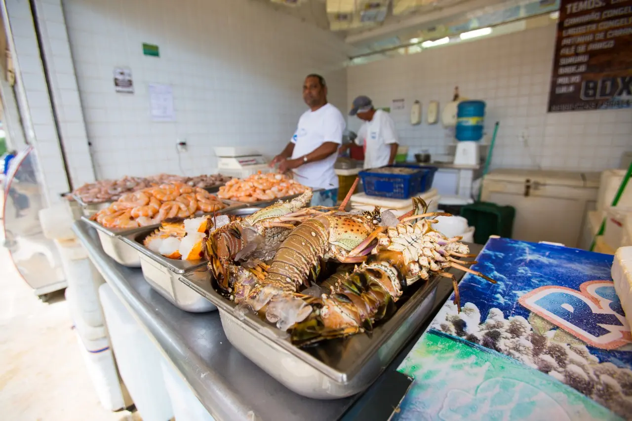 Comércio de Lagosta