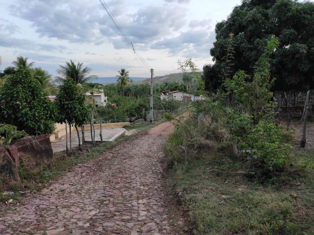 As residências do pacato Baixio das Palmeiras ficam à margem de uma estrada carroçal que liga o município à vizinha Barbalha