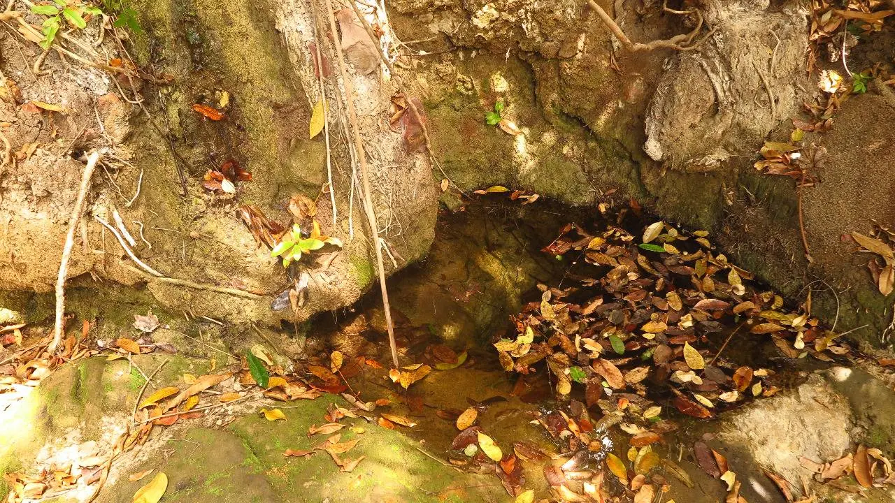 Olho d’água do Muquém