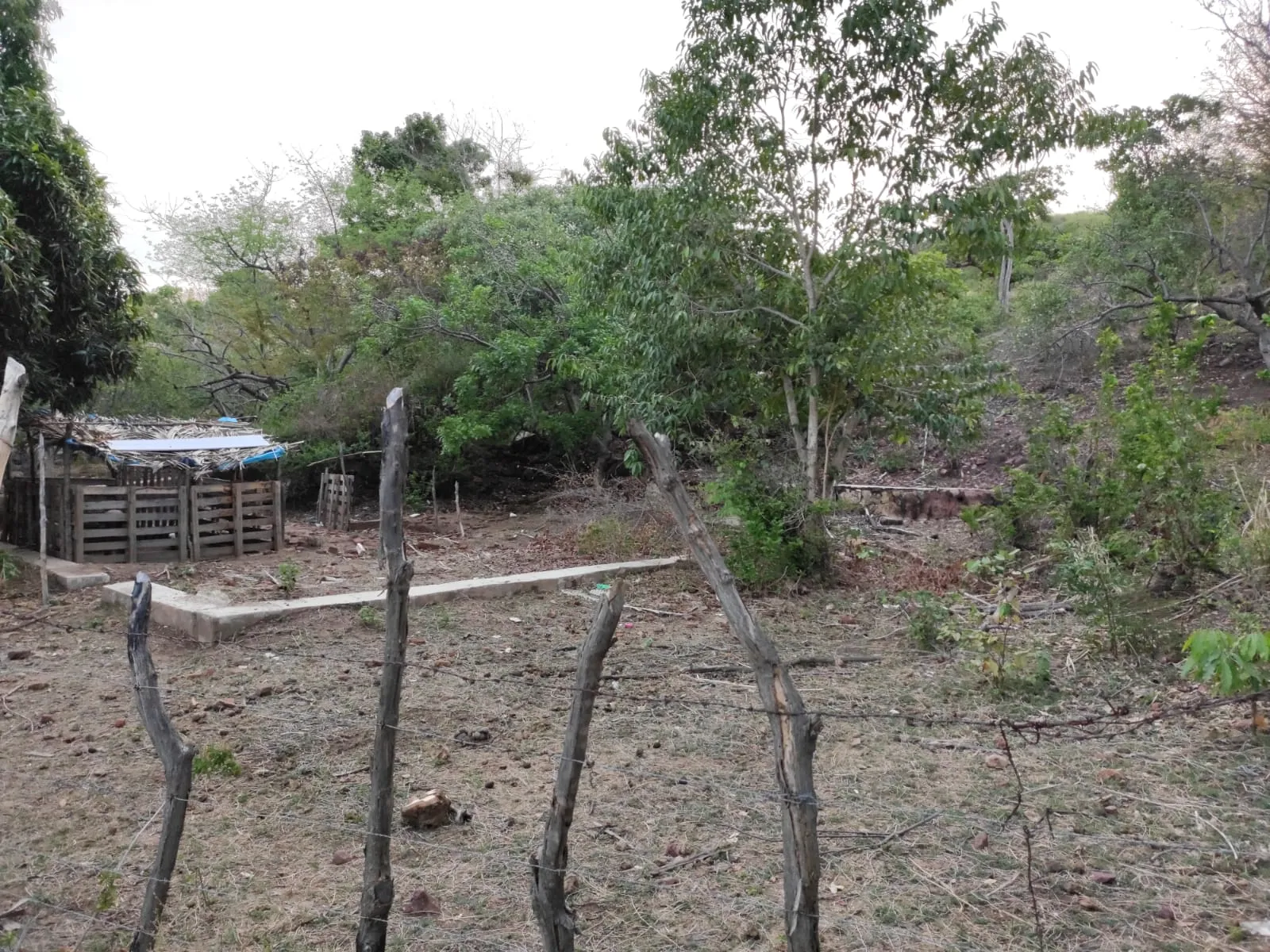 Terreno onde ficava a casa de José Francisco Feitosa