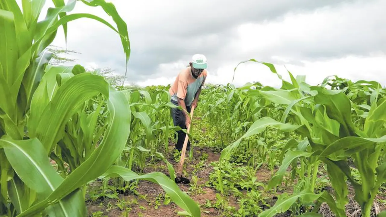 agricultura familiar