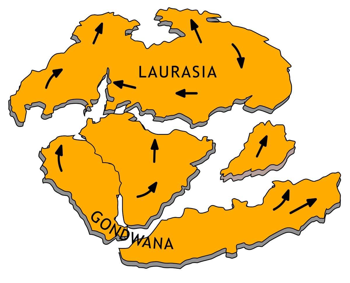 Supercontinente Gondwana