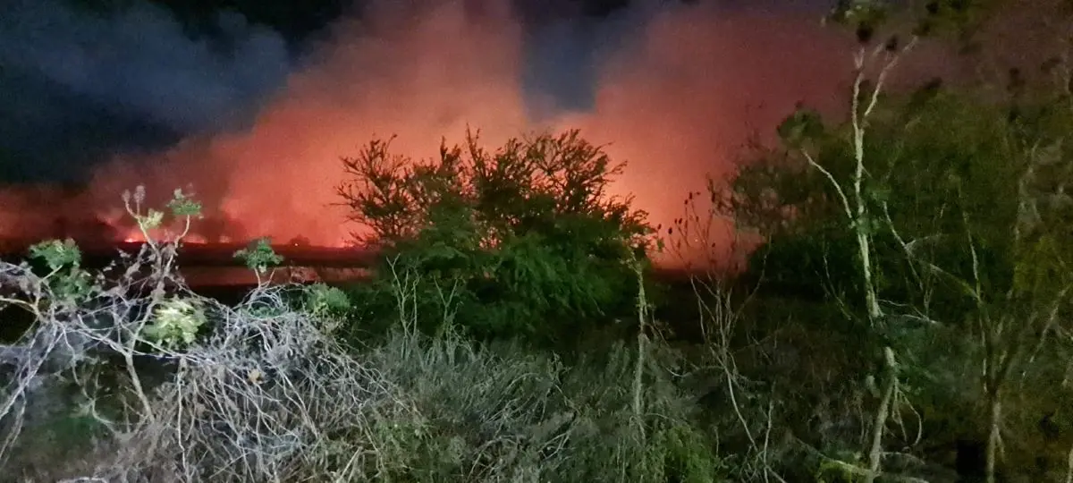 incêndio no parque do cocó em fortaleza