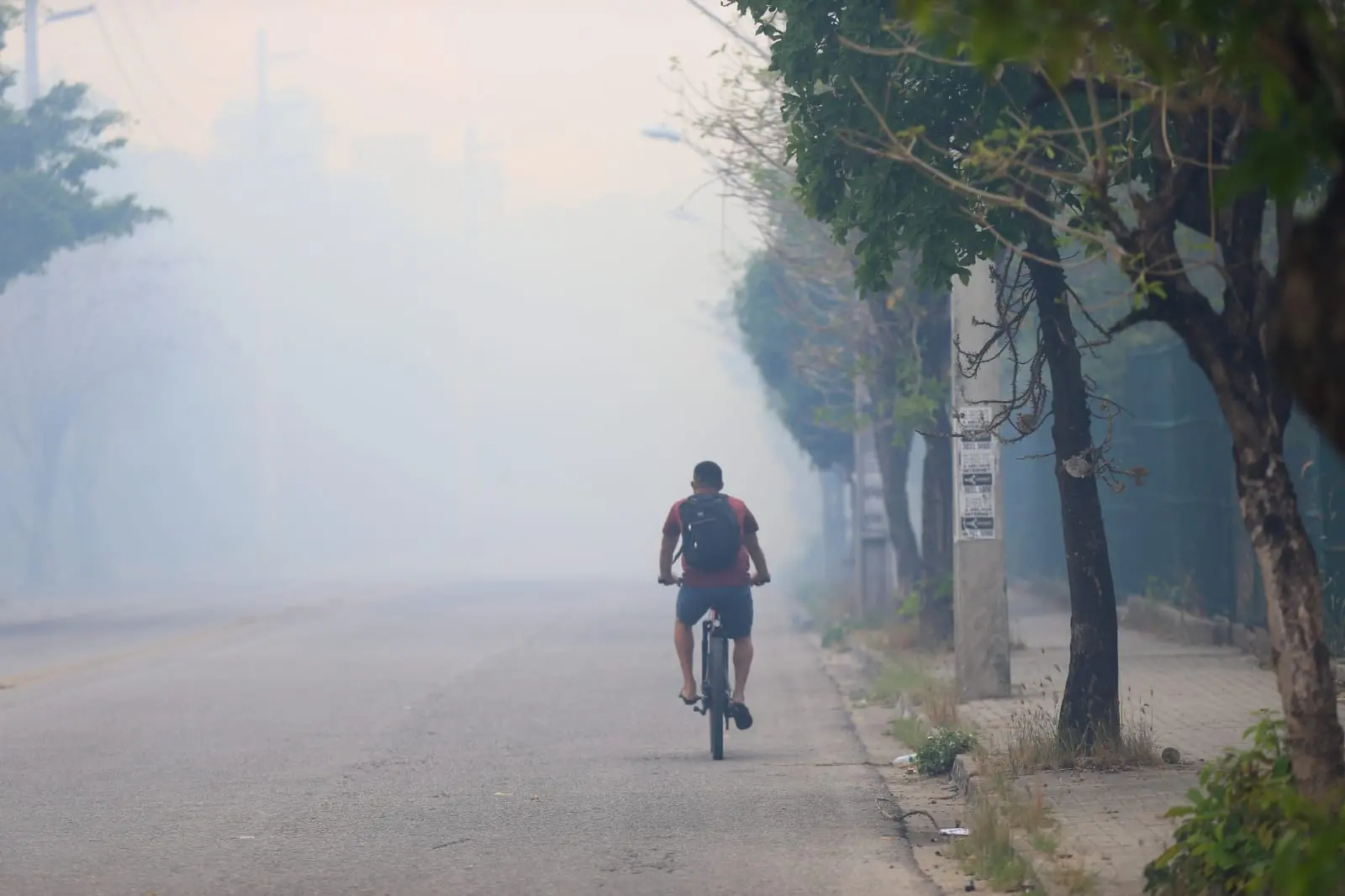 incêndio no Parque do Cocó