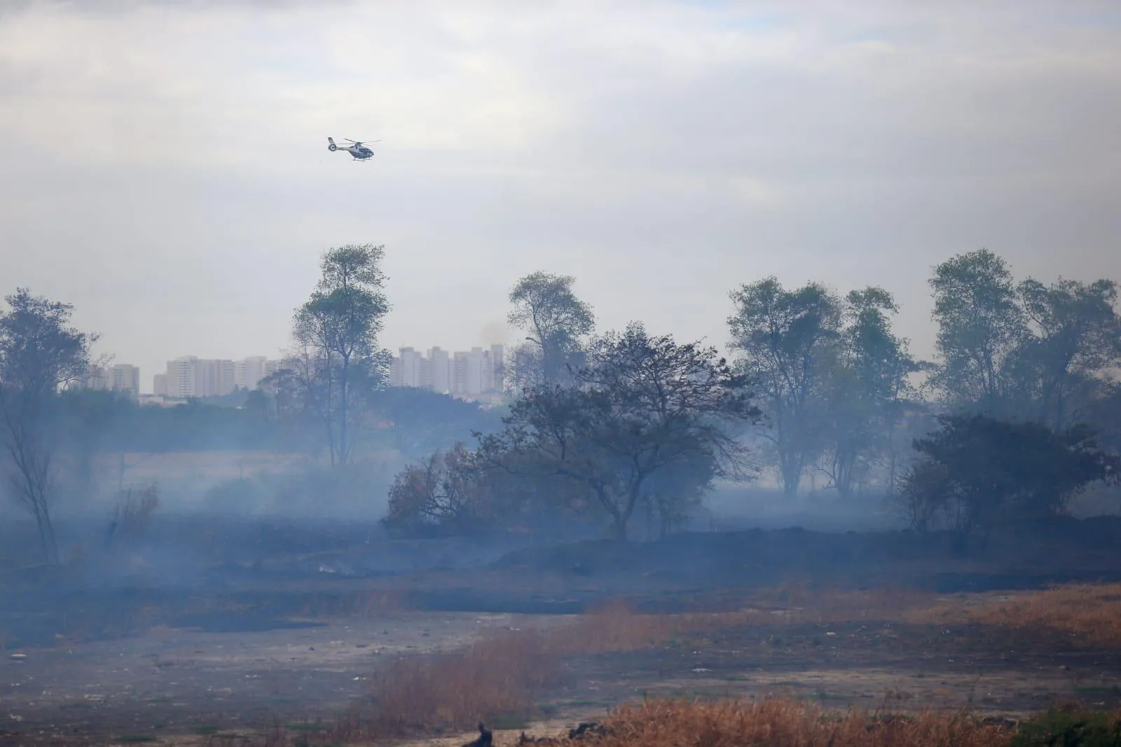 Monóxido e dióxido de carbono são alguns dos poluentes oriundos da fumaça dos incêndios