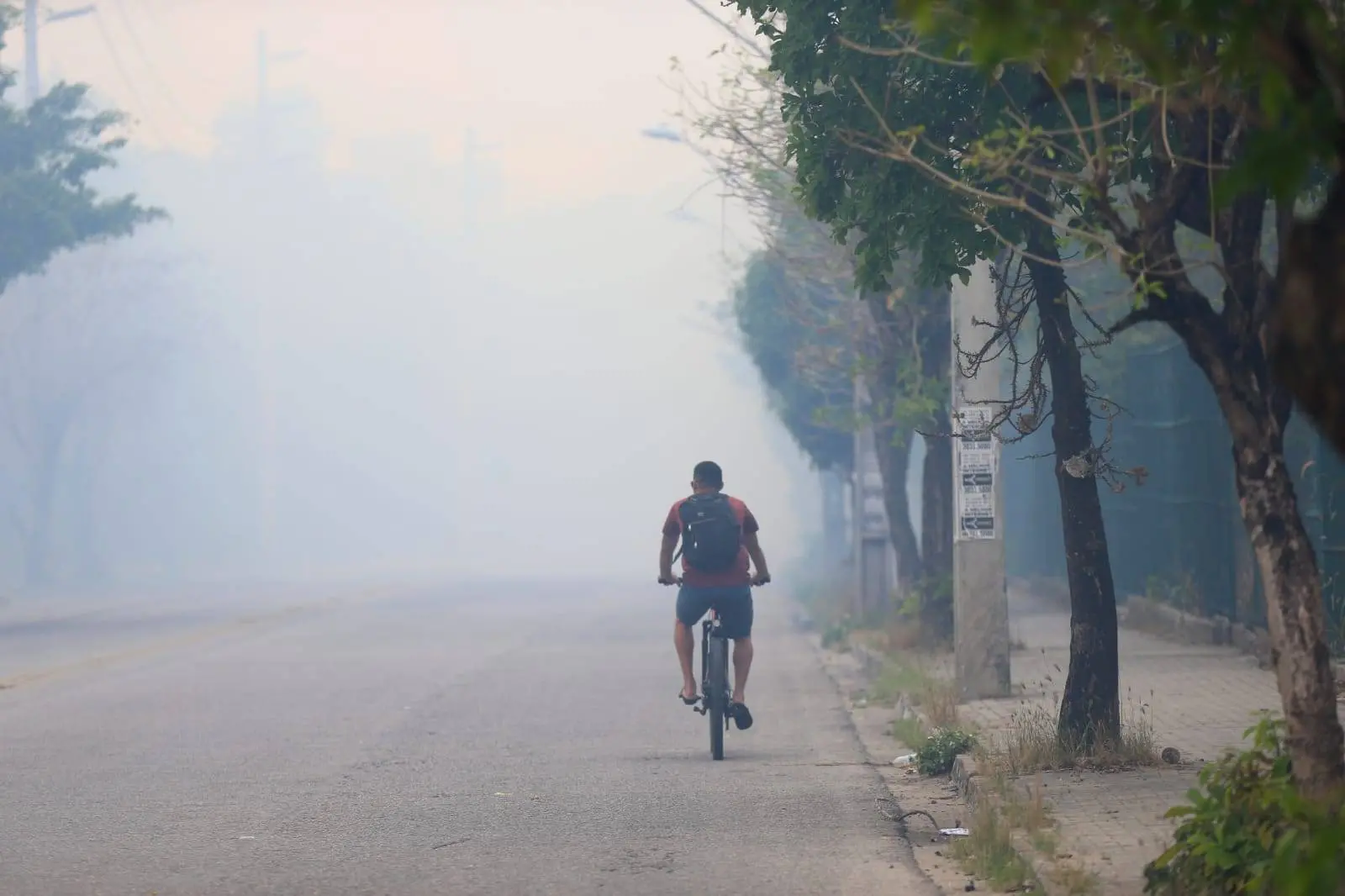 Incêndio no Parque do Cocó, em Fortaleza, visto das redondezas