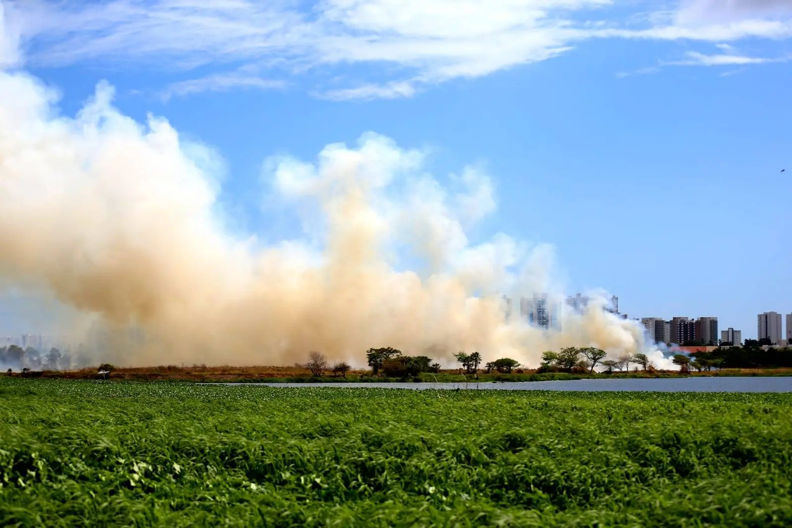 Incêndio no Parque do Cocó, em Fortaleza, visto das redondezas
