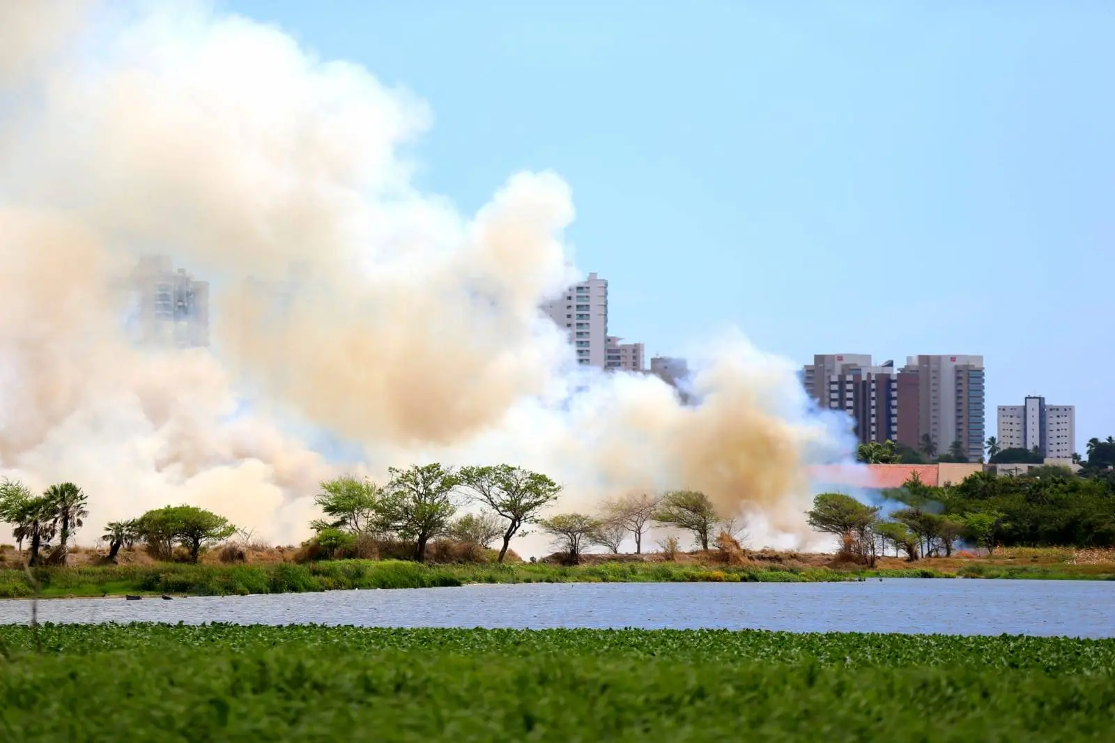 Incêndio no Parque do Cocó, em Fortaleza, visto das redondezas