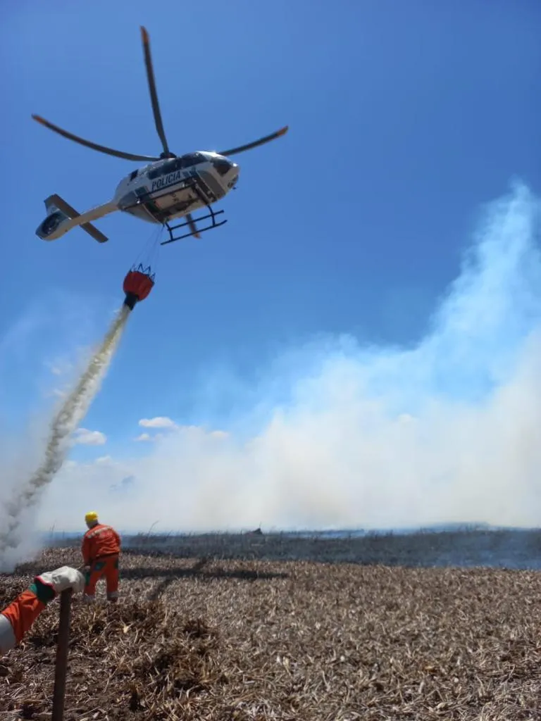 Mais de 40 bombeiros de diferentes guarnições trabalharam no combate dos focos de incêndio