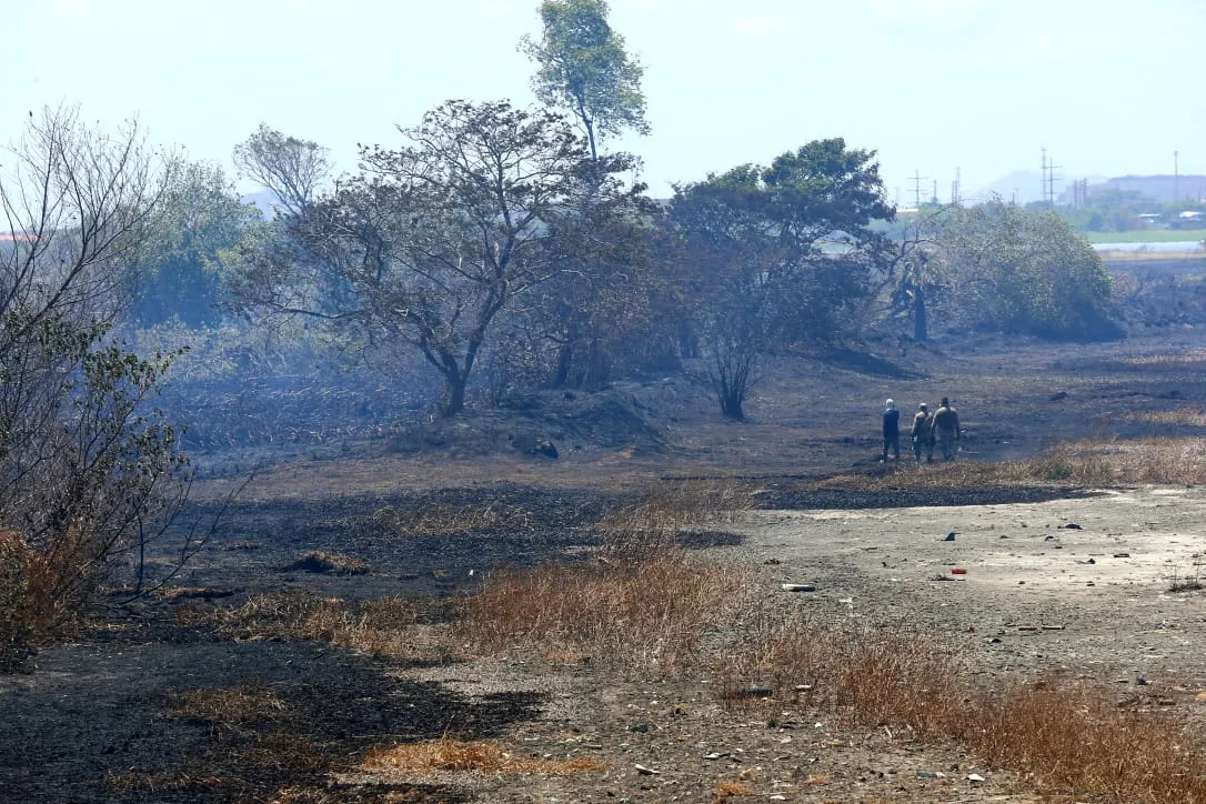 Incêndio no Parque do Cocó foi controlado, mas equipes atuam para evitar o retorno do fogo