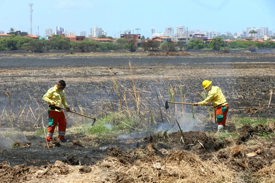Incêndio no Parque do Cocó foi controlado, mas equipes atuam para evitar o retorno do fogo