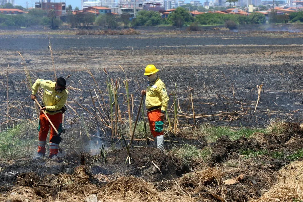 Incêndio no Parque do Cocó foi controlado, mas equipes atuam para evitar o retorno do fogo