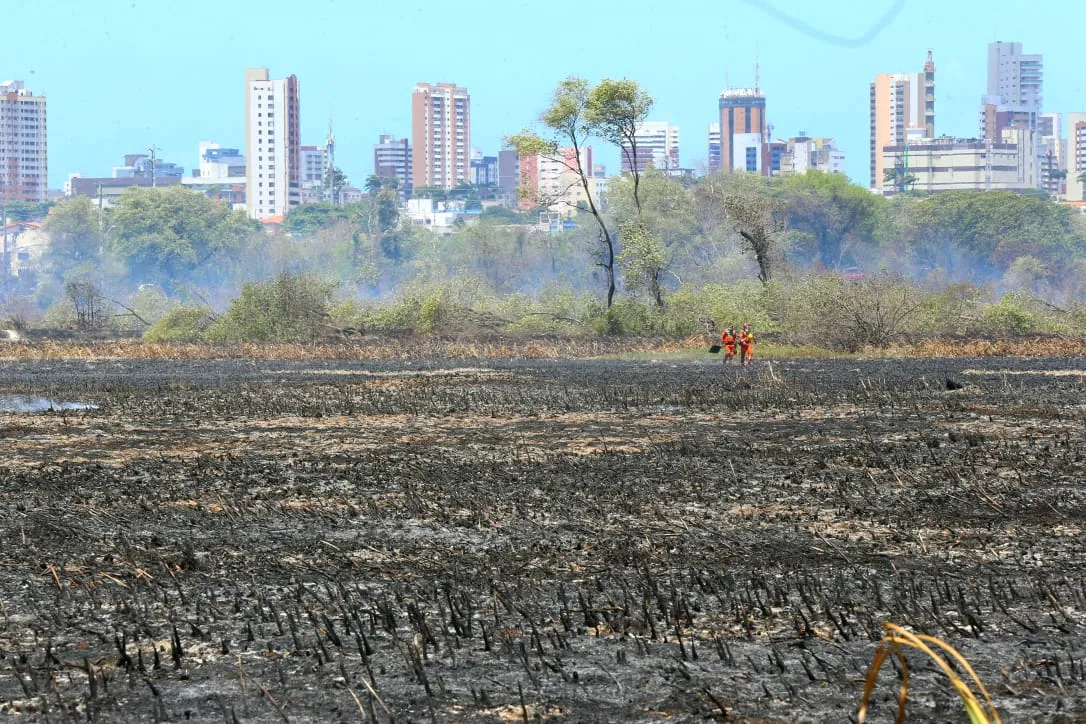 Incêndio no Parque do Cocó foi controlado, mas equipes atuam para evitar o retorno do fogo