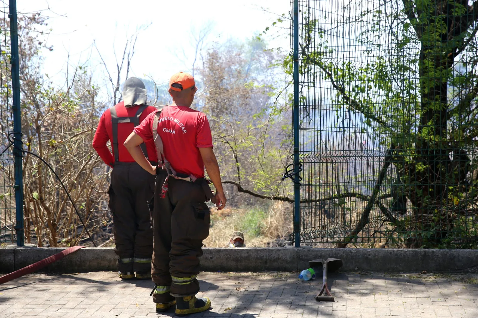 Incêndio no Parque do Cocó foi controlado, mas equipes atuam para evitar o retorno do fogo